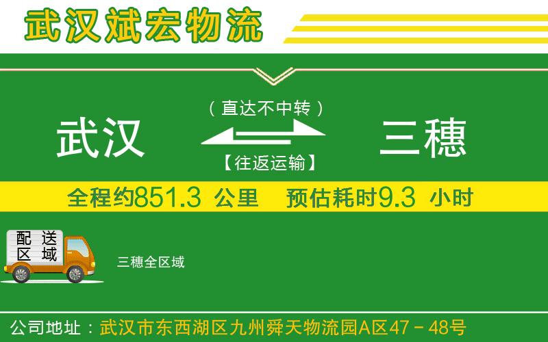 武漢到三穗物流公司