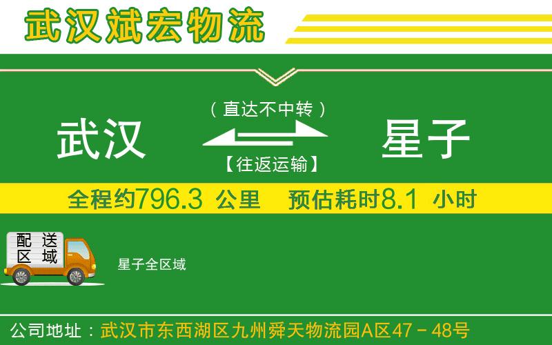 武漢到星子貨運公司