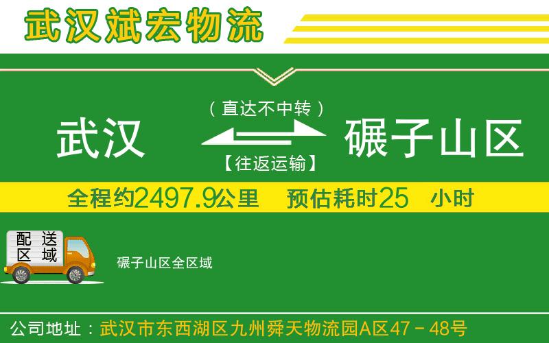 武漢到碾子山區貨運公司