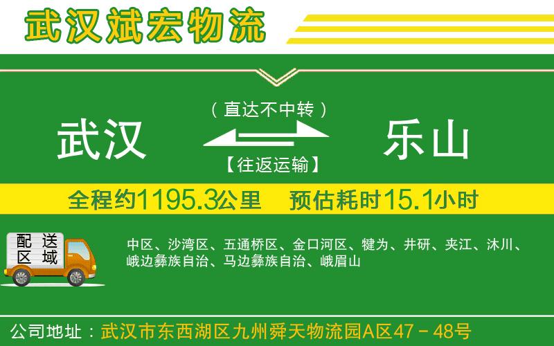 武漢到樂(lè )山貨運專(zhuān)線(xiàn)