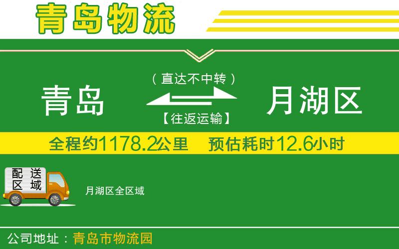 青島到月湖區物流公司