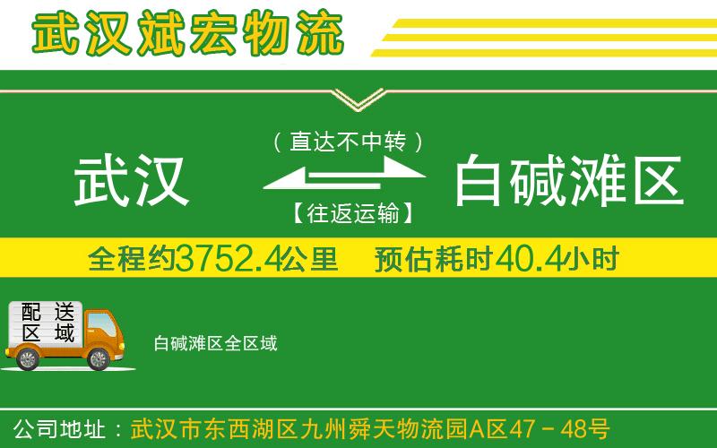武漢到白堿灘區貨運公司