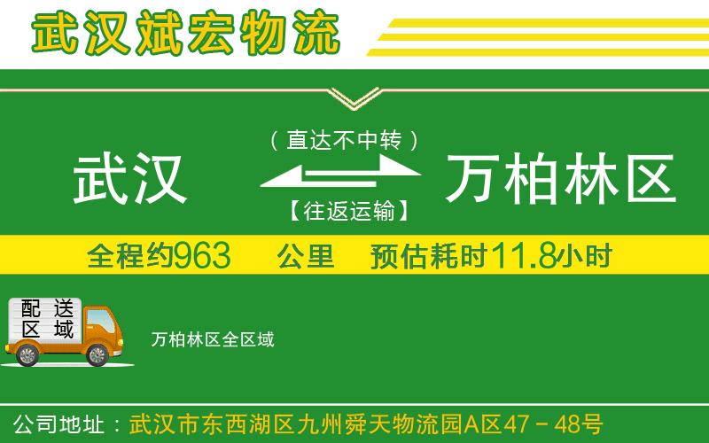 武漢到萬(wàn)柏林區貨運專(zhuān)線(xiàn)